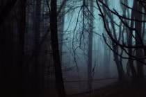 Rùng rợn “nghĩa địa đen” Alaska, đáng sợ hơn tam giác quỷ Bermuda