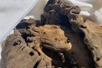 Phát hiện xác ướp 2.000 tuổi trong bãi rác, giật mình sự thật 