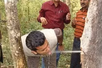 Loài cây chứa nước nuôi sống cả nhà trong nửa năm: Việt Nam cũng có!