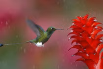 4 con giáp không phải nghèo lâu, cuối năm 2023 tài lộc cực khấm khá