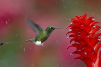 4 con giáp không phải nghèo lâu, cuối năm 2023 tài lộc cực khấm khá