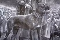 6 đội quân động vật có “1-0-2” trong lịch sử chiến tranh