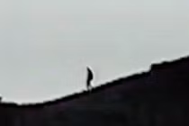 Những trường hợp tận mắt nhìn thấy quái vật Bigfoot thuyết phục nhất lịch sử 