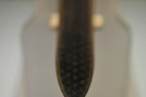 Thanh kiếm ngàn tuổi vẫn sắc lẹm: 8 chữ khắc lộ bí mật động trời! 