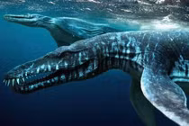 Top quái thú khổng lồ thời tiền sử dễ bị hiểu nhầm là khủng long