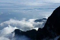 Mộ tổ tiên bốc khói xanh, chuyên gia lập tức phong tỏa cả núi