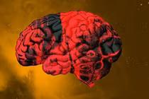 Khi lơ lửng ngoài không gian, sao bộ não phi hành gia được "tua lại"? 