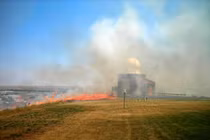 Lật lại thảm hoạ nắng nóng gây chết người khủng khiếp nhất lịch sử