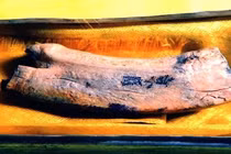 Lần theo mùi hương bí ẩn từ tháp cổ, phát hiện kho báu vô song