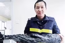 Đào được khúc gỗ lạ, chuyên gia nhận định “bảo vật” khó kiếm