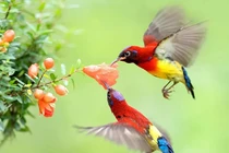 Tháng 4/2023, 3 con giáp gặp thời, sự nghiệp thăng hoa, vận may rực rỡ