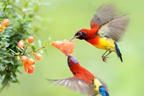 Tháng 4/2023, 3 con giáp gặp thời, sự nghiệp thăng hoa, vận may rực rỡ