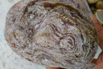 Đạp trúng khúc gỗ dính đầy bùn, ai ngờ là báu vật Trời ban 