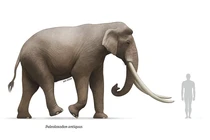 "Quái thú tuyệt chủng" hé lộ về “loài người lạ" sống song song chúng ta