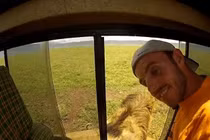 Vuốt ve trêu đùa sư tử châu Phi, hai du khách suýt nhận kết đắng 