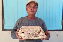 Đưa cháu đi bơi ở biển, bất ngờ đụng trúng “báu vật” tiền tỷ 