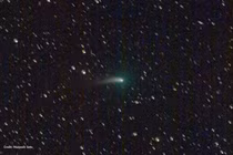 Sau 50.000 năm, "bạn của loài người tuyệt chủng” bất ngờ lộ diện 