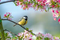 Sinh con năm Quý Mão 2023 tháng Âm lịch nào là may mắn nhất?