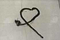 Thấy gói mỳ “xuyên không” trong mộ cổ, chuyên gia lập tức gọi cảnh sát 