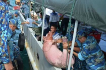 Những chuyến hàng "chở xuân" ra Trường Sa cho bộ đội đón Tết