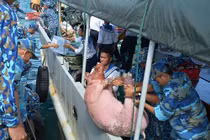 Những chuyến hàng "chở xuân" ra Trường Sa cho bộ đội đón Tết