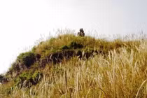 Huyền bí chiếc chum vàng hóa đá độc lạ nhất Việt Nam 