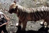 Rùng mình trước ảnh chụp ít phút trước khi thảm họa xảy ra