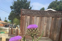 Kinh ngạc sự thật thú vị chưa từng tiết lộ về thế giới 