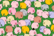 Chỉ có 10 giây bạn có tìm thấy cỏ 4 lá giữa những chú heo không?