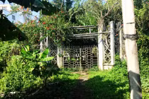 Vén màn bí ẩn nơi an nghỉ lạnh lẽo của công tử Bạc Liêu 