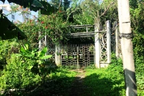 Vén màn bí ẩn nơi an nghỉ lạnh lẽo của công tử Bạc Liêu 