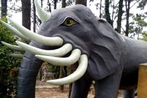 Giai thoại 'cha vợ Minh Mạng bị chém' và chuyện Voi 9 ngà