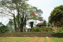 Bí ẩn cụ đa nghìn năm "biết đi" quanh đền cổ Ninh Bình