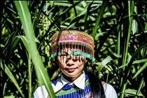 Nét đẹp của người Việt hút hồn nhiếp ảnh gia Mỹ