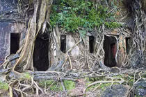 10 công trình kiến trúc của con người bị tự nhiên... "chiếm giữ"