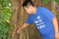 Kỳ dị núi Cấm: Cưa cây ra máu và đốt nhang không cháy