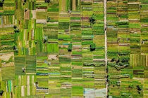 Việt Nam lọt top nước đẹp nhất trải nghiệm bằng xe máy