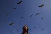 Rùng rợn tục mai táng kền kền rỉa xác thiêng nhất Tây Tạng 