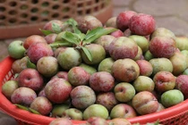 Hè đến, ăn ngay những loại trái cây giảm cân để eo đẹp dáng xinh