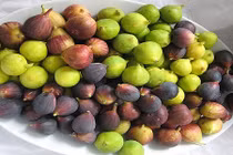 Lợi ích bất ngờ từ thứ quả rẻ tiền, mọc đầy trong vườn nhà