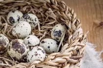 Trứng chim cút bổ thế này, tội gì không cho con ăn