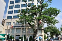 4 vụ tai biến sau phẫu thuật thẩm mỹ ở Sài Gòn năm 2019