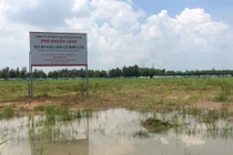 Phú Nhuận Land huy động vốn trái phép tại dự án Bình Lợi Center?