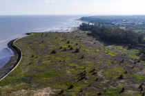 Dự kiến quy hoạch hơn 500 ha đất ở Cần Giờ làm cảng biển 