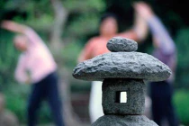 Cẩm nang giúp người già tránh ngã gãy xương