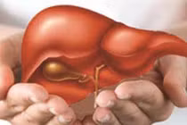 Những yếu tố chính gây ung thư gan