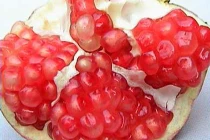 Giải mã cơ chế sinh tố lựu giúp ngừa ung thư