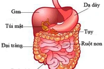 Tiết lộ bất ngờ về bệnh ung thư đại tràng