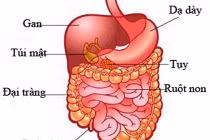 Tiết lộ bất ngờ về bệnh ung thư đại tràng
