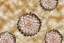 Điều chưa biết về HPV và bệnh ung thư miệng
